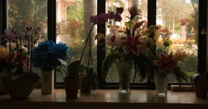 silhouette of memorial flowers