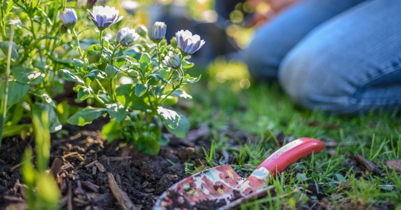 Thoughtful Widow Gift Ideas - Lawn Care - The Gardens Cemetery