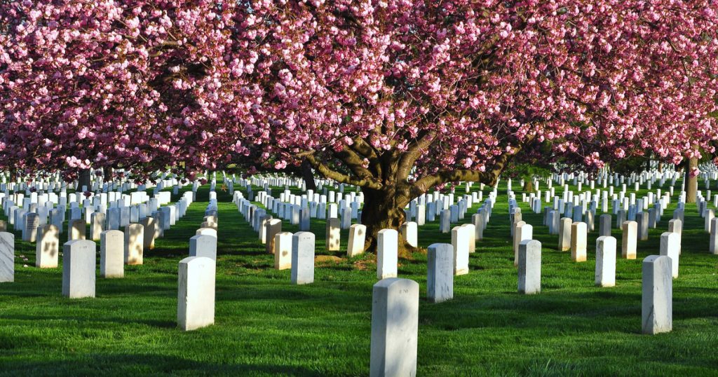 Virginia: Arlington National Cemetery