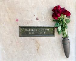A plaque reading "Marilyn Monroe" mounted to a wall with a few roses in a mounted vase.