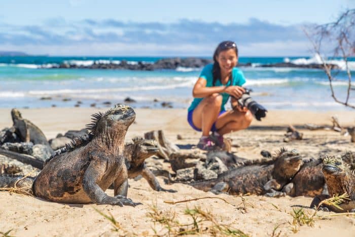 Woman sitting on beach with Galapagos lizards.